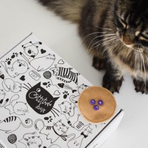 subscription-box-and-cat