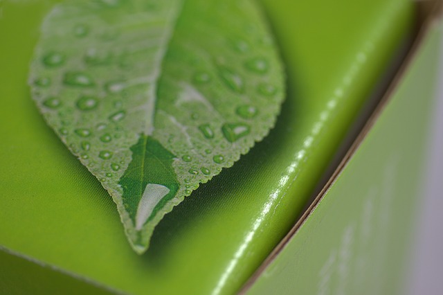 green-packaging-and-leaf