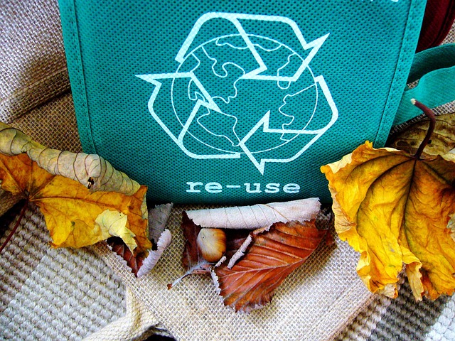 bag-with-reuse-print