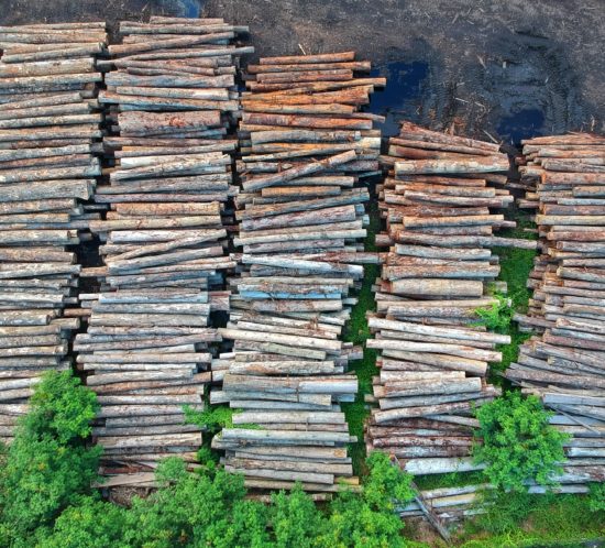 birds-eye-view-of-log-stacks-from-deforestation