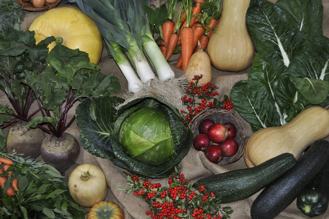 Selection of harvest vegetables