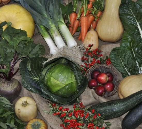 Selection of harvest vegetables